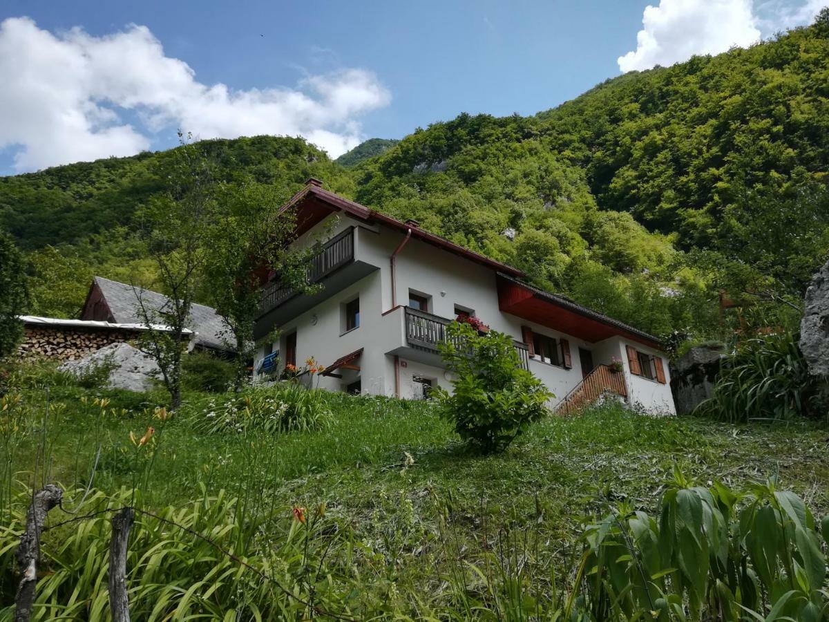 Apartma Ana Ida Srpenica 외부 사진